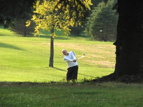 Concord Cup photo