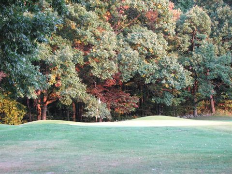 Concord Cup photo