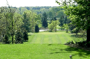 tee5.gif (53056 bytes)